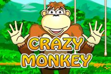 Crazy Monkey